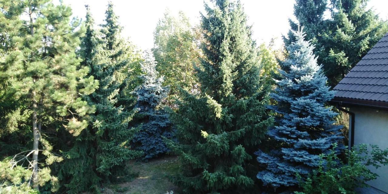 Piernikowy Dworek Lubicz Exterior photo